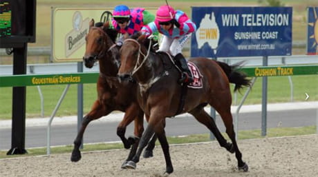 Equestrian Surfaces surface materials